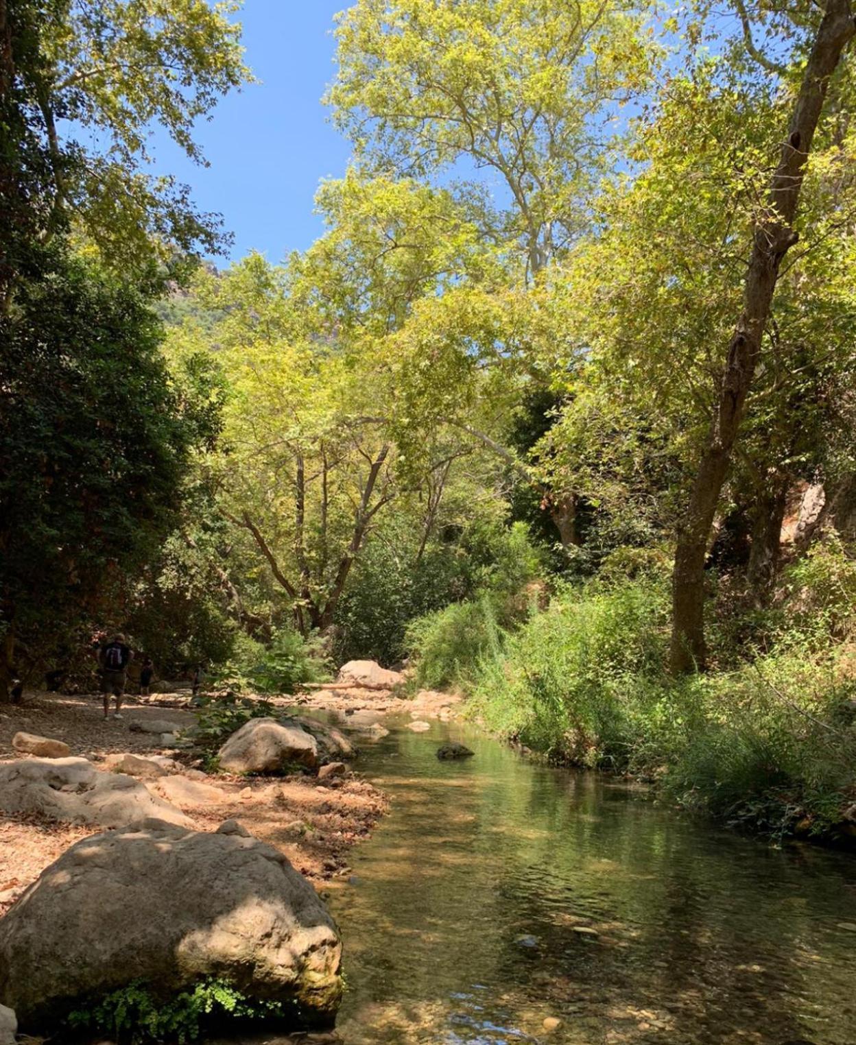 Netta'S Place Otel Mitzpe Hila Dış mekan fotoğraf